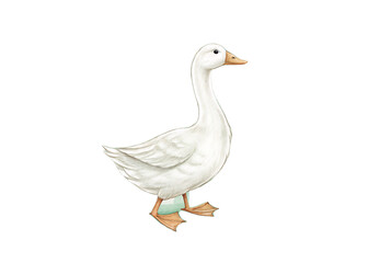 Watercolor illustration of a white goose on a striped background with decorative leaves around it