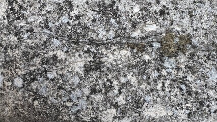 Weathered rock displays unique patterns and textures, with a blend of gray and earthy tones. Sunlight highlights the surface intricacies, showcasing nature's artistry over time