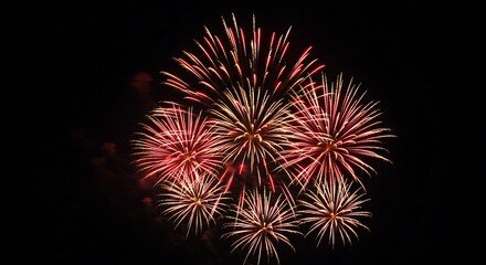 Red and gold fireworks explode in the night sky