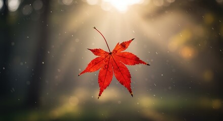 Stunning red maple leaf falling gently in rain against a bokeh forest backdrop, evoking autumn serenity