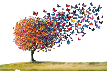 A vibrant tree made of colorful butterflies flying away into the sky isolated on transparent background
