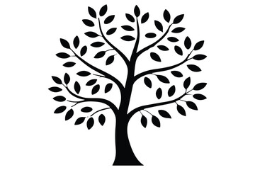 
Minimal Tree Silhouette Vector Set