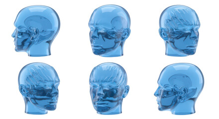 Translucent blue glass human heads in different views against a white backdrop illustrating anatomy or medical concepts