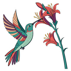 Fototapeta premium Hummingbird Feeding on Flower Vector Illustration Colorful Bird with Wings Spread and Red Blossoms Nature Design