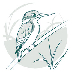 Fototapeta premium Kingfisher bird sitting on branch nature wildlife animal illustration simple line art design background