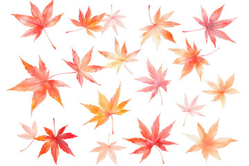 Collection of watercolor painted maple leaves in various shades of red and orange isolated on transparent background