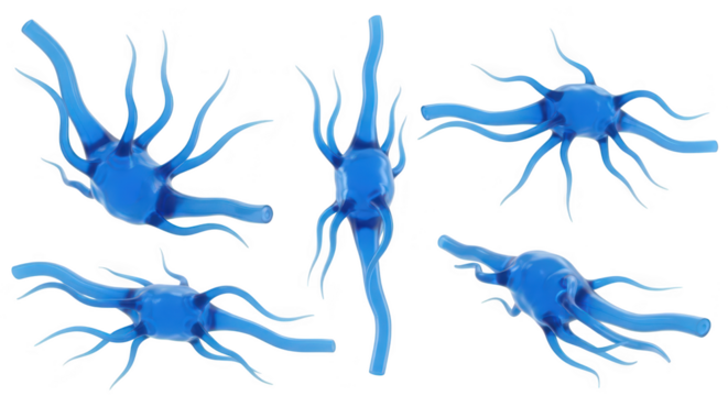3D rendered blue neurons against a white background showcasing the complexity of brain cells for medical scientific and educational use