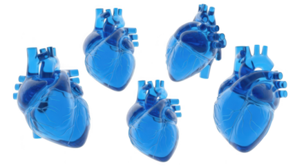 3D blue translucent anatomical hearts floating against a white background suggesting medical healthcare or scientific applications