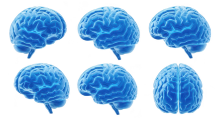 3D render of a blue brain viewed from various angles isolated on a white background likely for medical educational or scientific uses