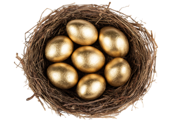 Golden eggs in a bird's nest. Wealth, prosperity, financial security concept.