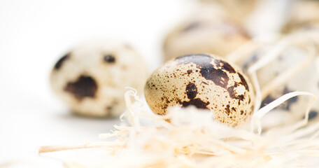 Quail eggs and straw isolated on white background, breakfast. Fresh quail eggs border design, close-up. Healthy diet food concept. Shallow focus 