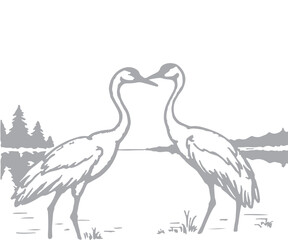 Obraz premium Juvenile flamingo wandering in the shallow marsh at low tide in early morning - Bahrain - Black and white