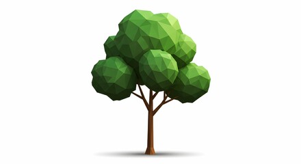 Stylized Low Poly Deciduous Tree Isolated on White Background, Simple Nature Element
