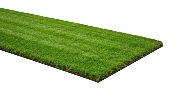 Close-up of a rectangular patch of vibrant green grass.