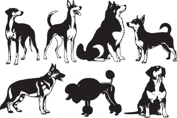 Collection of seven black and white dog illustrations in various poses, dog, dogs, canine, animal, pet, illustration, silhouette, black and white, standing, sitting, german shepherd, husky, poodle, ch