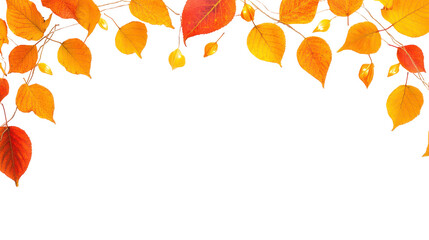 Autumn's Golden Canopy: Vivid autumn leaves in shades of amber and crimson, delicately arranged against a soft backdrop. Capture the spirit of seasonal transition and natural beauty.