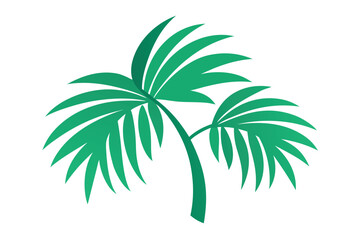 Obraz premium palm tree vector illustration