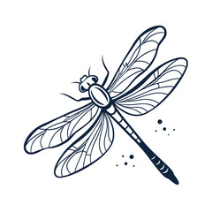 Elegant dragonfly illustration with delicate transparent wings in clean line art style