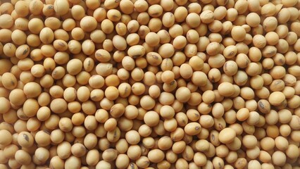 Fresh soybeans background texture, raw bean seeds food ingredient agriculture, seeds food raw material
