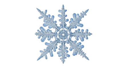Intricate snowflake design with detailed ice crystal patterns on transparent background