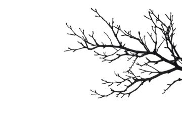 Hand drawn stencil of a thin tree branch on white background ideal for nature and design projects generative ai
