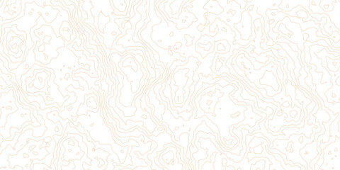 Abstract vector topographic map on white background