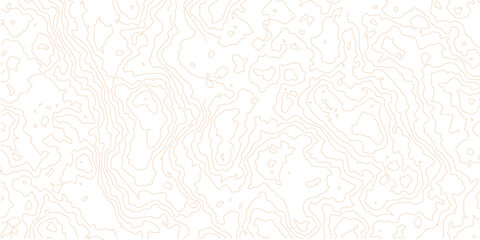 Fototapeta premium Topographic contour lines. Topographic map. Geographic mountain relief. Abstract lines background. Contour maps