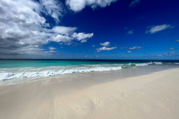 Fototapeta premium A pristine tropical Aruba beach with powdery white sand and turquoise water under a bright blue sky. Caribbean travel concept