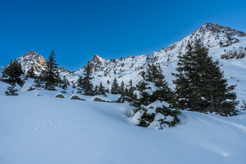 Col de l' Aigleton, Paysage d' hiver dans la chaîne de Belledonne , Isère , France