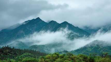 Serene Mountain Landscape with Misty Clouds and Lush Green Vegetation