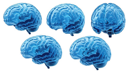 Five blue 3D brain models isolated on white showcasing different views ideal for medical science and psychology-related concepts