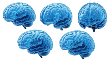 Five blue 3D brain models isolated on white showcasing different views ideal for medical science and psychology-related concepts
