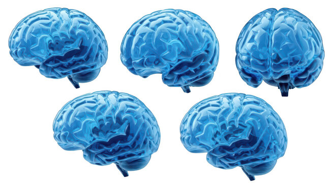Five blue 3D brain models isolated on white showcasing different views ideal for medical science and psychology-related concepts - Powered by Adobe