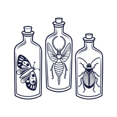 Vintage collection of insects captured in glass bottles line art