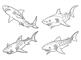 coloring page line art the nurse shark fish black vector bundle