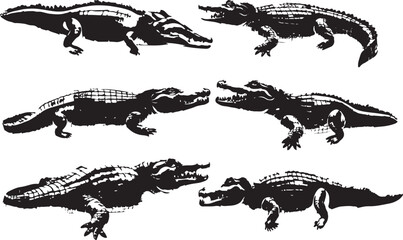 Alligator silhouette vector illustration design