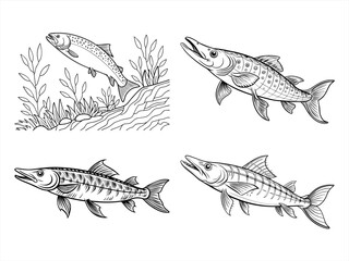 coloring page line art the pike black vector bundle
