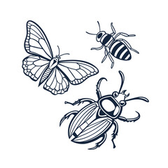 Elegant line art trio featuring a butterfly bee and beetle in classic black and white