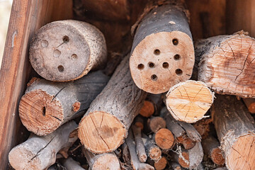 Close up of a wooden insect hotel providing nesting habitat for solitary bees and other insects...