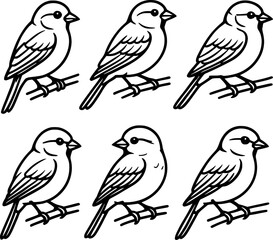 Sparrow sitting on branch black line drawing collection vector set 