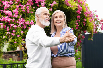 Lovely senior couple dancing near bush of pink roses outdoors