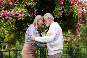 Lovely senior couple near bush of pink roses outdoors