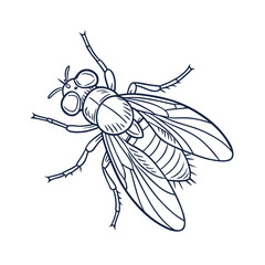 Detailed line art illustration of realistic insect anatomy for educational purposes