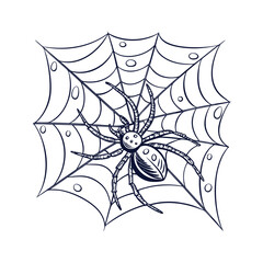 Detailed line art illustration of a spider on a delicate web with glistening morning dew drops