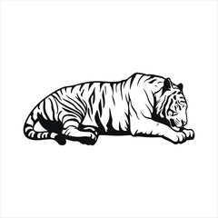 Obraz premium Detailed illustration of a resting tiger in black and white