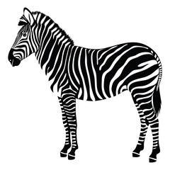 Black and White Zebra Vector Illustration