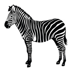 Black and White Zebra Vector Illustration