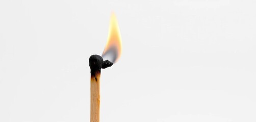 Close-up of a single, completely burned matchstick against a stark white background, showing intricate charring details,  macro,  close-up