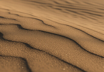 Close-up of Textured Desert Sand Ripples, Dune Surface, Sandy Landscape, Abstract Background.