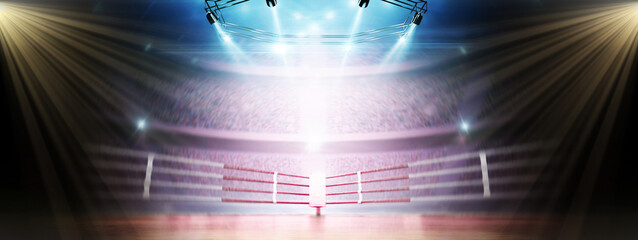 Big arena with viewers. Professional stadium. Beautiful empty background. Bright lighting with spotlights. Dynamic sports background. Full tribune. Wide angle